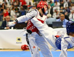 Taekwondo Masters Bonn  26.09.2015